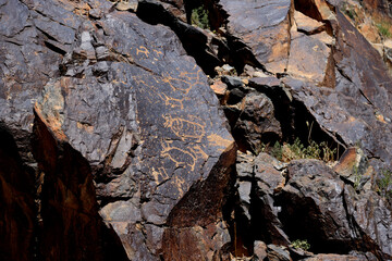 Gobi petroglyphs, Bichigtiin Am site, Mongolia