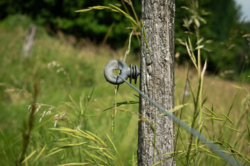 Electric fence on pasture in summer
- 653216895
