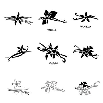 Vanilla Pod Icon, Orchid Bean Sticks, Dry Vanillin Pods, Natural Aroma Dessert Ingredient, Vanilla Planifolia Stick