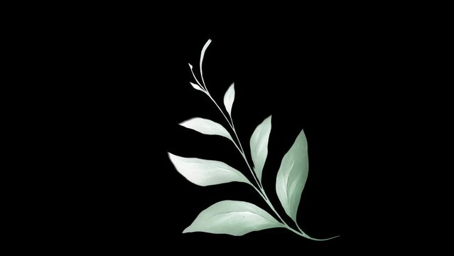 branch of green leaf's on transparent background. type 03