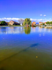 Obraz premium beautiful park with a large lake