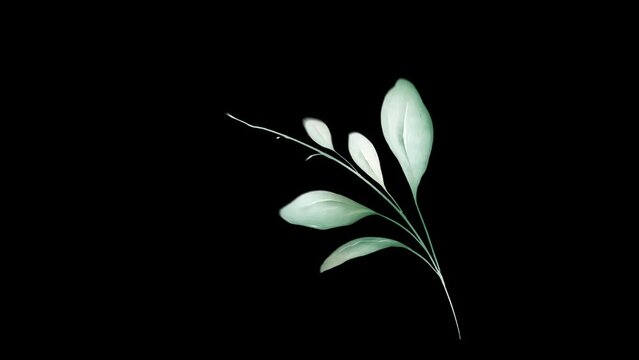 branch of green leaf's on transparent background. type 05