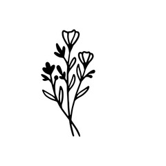 Fototapeta na wymiar leaves,leaf,flower doodle,decorative branch element,