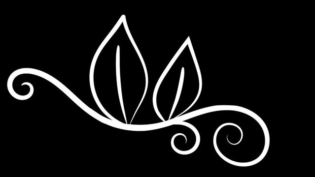 plant related ornaments on transparent background. Type 02