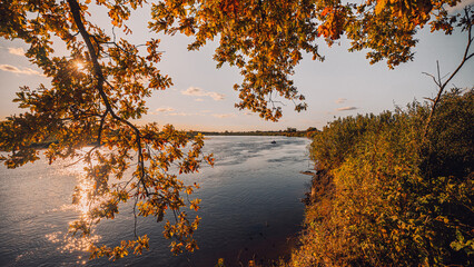 View of the river from under the red-orange foliage of the autumn forest. Landscape of the Pripyat River, which flows into the Dnieper in Ukraine.
