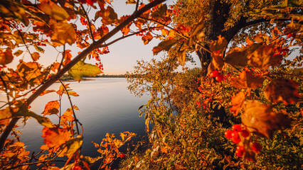 View of the river from under the red-orange foliage of the autumn forest. Landscape of the Pripyat River, which flows into the Dnieper in Ukraine. In photo wallpaper format for TV or monitor