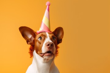 Close-up portrait photography of a funny brittany dog wearing a unicorn horn against a pastel orange background. With generative AI technology - obrazy, fototapety, plakaty