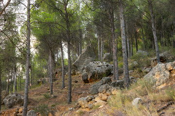 Rock formations on a mountainside, some looking like menhirs in Rincón de Ademuz on the Iberian Peninsula