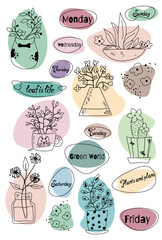 set of outline flat simple plants on the colorful backgrounds. the vector art with house plants. digital illustrations