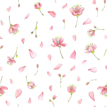Watercolor pattern on the theme of spring on a white background. Endless pattern with images of spring, blooming, young branches and petals.