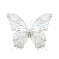 white butterfly is against a Transparent background