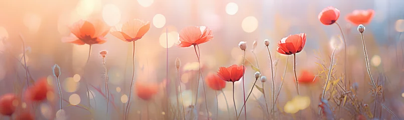  a photo showing bright flowers in the field © Kien
