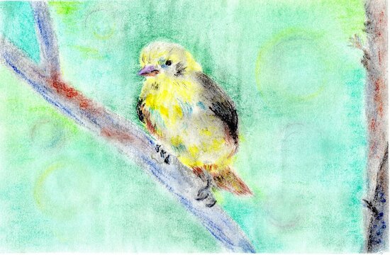 bird on a branch