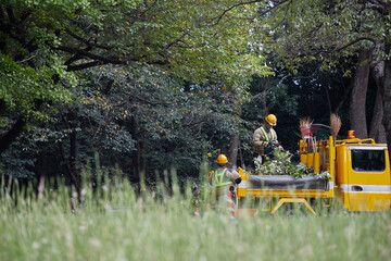 秋の公園の樹木を修繕している土木局の作業員たちの姿