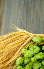 Fresh cones of hops on one half and ears of grain on other one, lay on wood background. Raw...