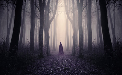 fantasy forest landscape with cloaked silhouette on magical path
- 653243003