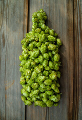 Fresh cones of hops in bottle shape on old wood background. Raw material for brewing production....