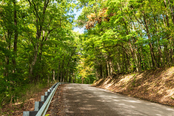 A road through the woods in Deerfield Township, Pennsylvania, USA on a sunny fall day