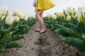 Girl in the tulip field. She is dancing without shoes on the ground. Her feet are on the ground and white tulips are around her. The yellow skirt is above cream white tulips.