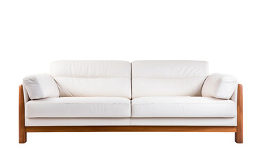 Modern Foam Sofa Elegance