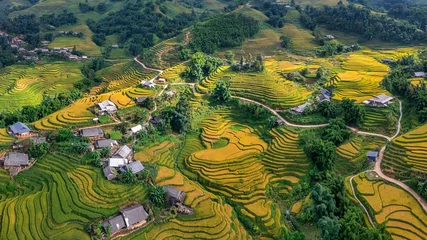 Foto op Plexiglas Rijstvelden Aerial view of rice field or rice terraces , Sapa, Vietnam. Y Linh Ho village, Ta Van valley