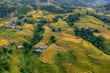 Aerial view of rice field or rice terraces , Sapa, Vietnam. Y Linh Ho village, Ta Van valley
