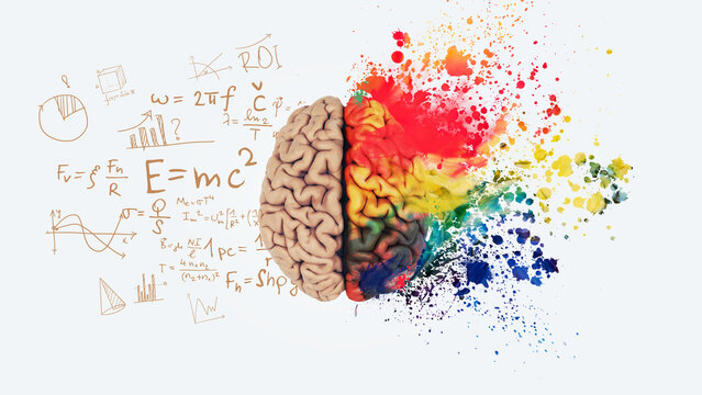 Brain. Left right human brain concept. Creative part and logical part with social and business part. Creative art brain explodes with paint splatter. Mathematical successful mindset with formulas.