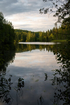 Lake view in the morning, framed by tree branches. Etelä-Konnevesi National Park.