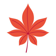 flat colorful autumn leaf isolated on white