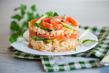Boiled white rice with salted red fish, cucumbers and other vegetables with herbs in a plate.