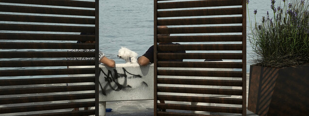 Coppia di spalle con cagnolino seduti in una panchina lungo il Lago d'Iseo - obrazy, fototapety, plakaty