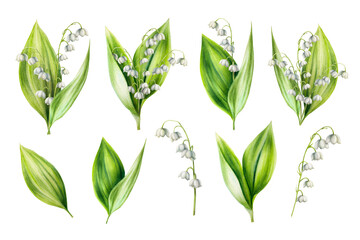 Watercolor set of bouquets of lilies of the valley flowers isolated on white background. Spring hand painted kit of illustration. For designers, wedding, decoration, postcards, wrapping paper