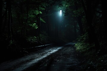 a flashlight illuminating a path in the dark
