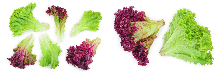 fresh red coral and green salad or lettuce isolated on the white background. Top view. Flat lay