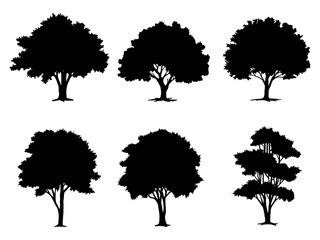 collection isolated tree Symbol silhouette style on white background. Can be used for your work.