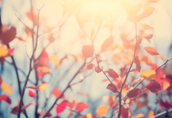 Blurred Background of Autumn Leaves on a Bush, Showcasing the Magic of Fall Colors in Reds, Oranges & Yellows. Generative AI.