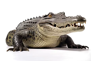 Wandaufkleber Crocodile isolated on white background © Damnino
