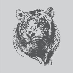 Lion or Tiger Face very attractive - with light dark grey colour background editable vector for t-shirt design and multipurpose use in high definition format