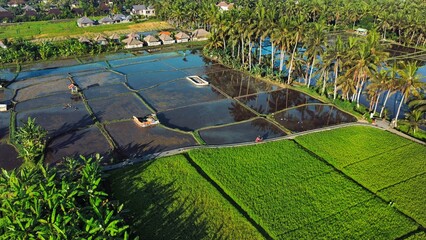 Kajeng Rice Field, Bali, Indonesia - 21st May 2022: 
These rice paddies in Bali offer a tremendous...