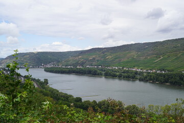 Wunderschöner Blick auf den Rhein