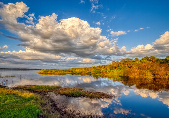 Late afternoon light the shoreline of Upper Myakka Lake in Myakka River State Park in Sarasota Florida USA