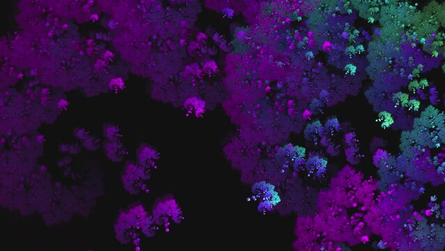 mobius fractal abstract animation 4K
