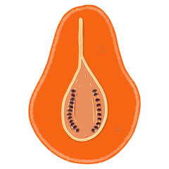 Illustration of papaya drawing