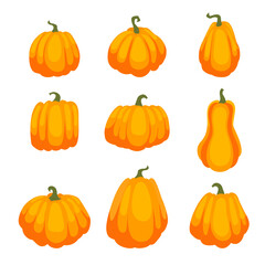 Pumpkin flat icons set. Simple pumpkin cartoon colorful icon symbol isolated white vector Illustration. Different shapes and sizes of pumpkins.  Autumn thanksgiving and halloween pumpkins EPS10