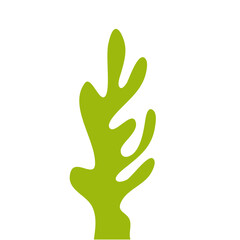 Illustration of Green Sea Coral