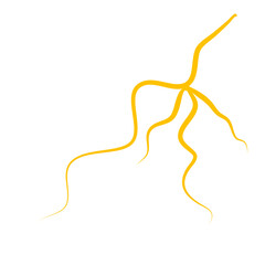 Thunder Lightning Bolt