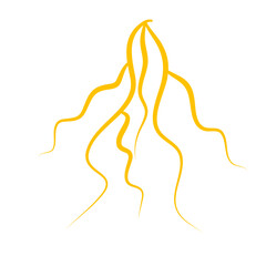 Thunder Lightning Bolt