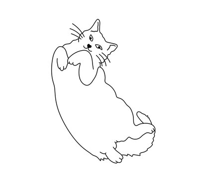 Vector isolated one single cute cartoon fat cat lying on back in funny pose colorless black and white contour line easy drawing