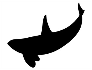 Whale silhouette vector art white background