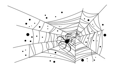 spiderweb and spider for halloween vector